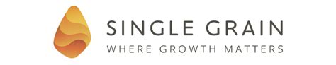 single grain digital marketing.